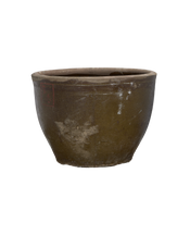 Mulberry Planter