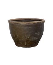 Mulberry Planter