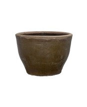 Mulberry Planter