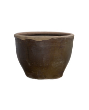 Mulberry Planter