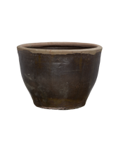 Mulberry Planter