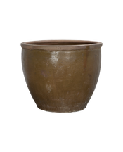 Mulberry Planter