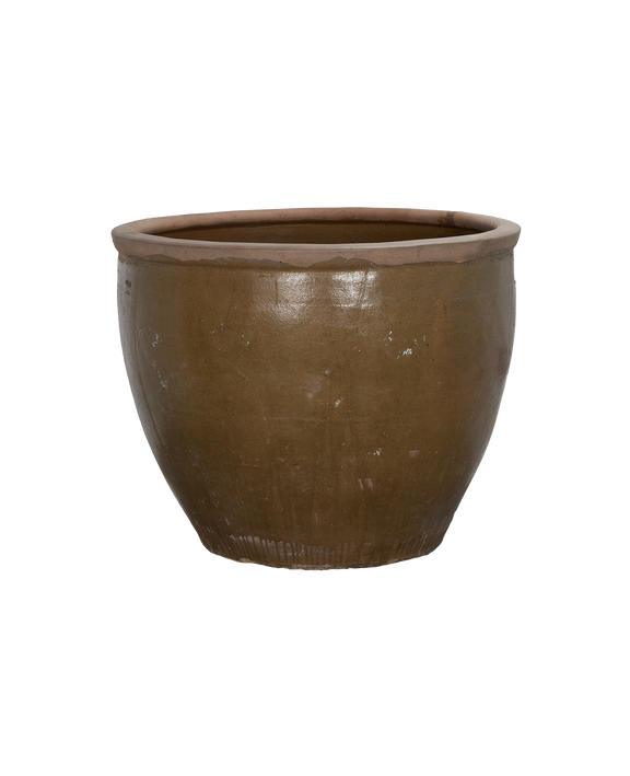 Mulberry Planter