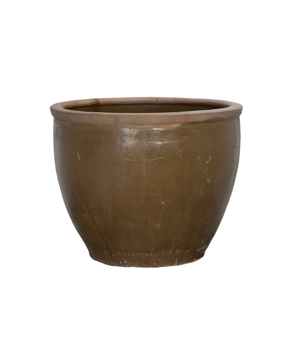 Mulberry Planter
