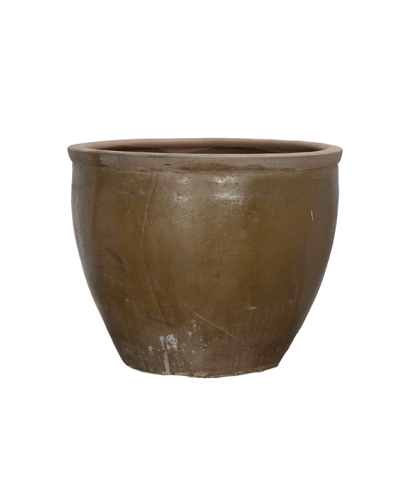 Mulberry Planter