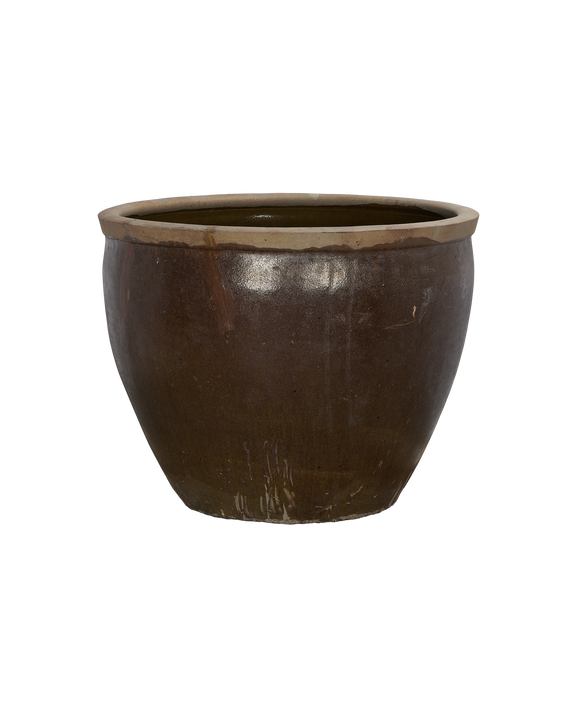 Mulberry Planter