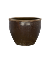 Mulberry Planter