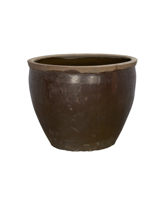 Mulberry Planter