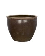 Mulberry Planter