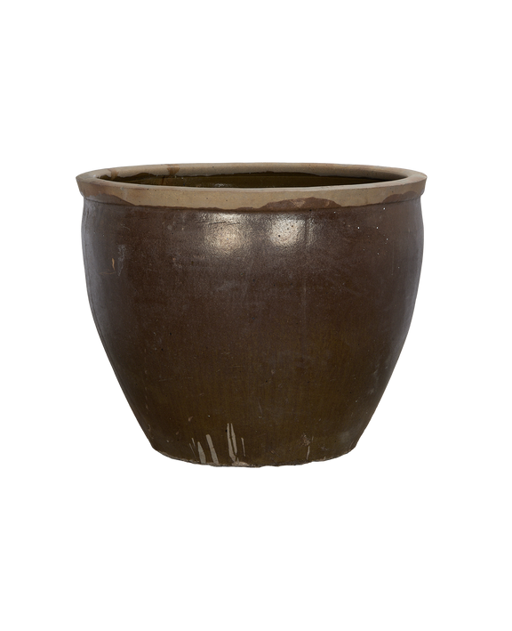 Mulberry Planter