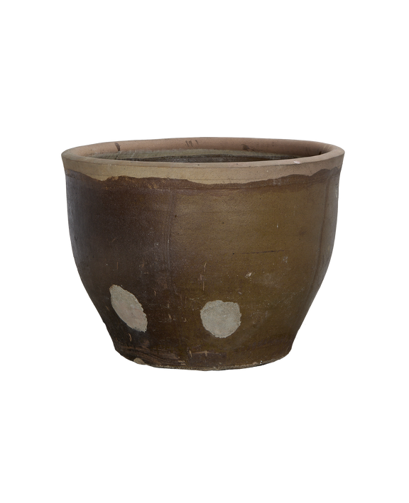 Mulberry Planter