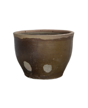 Mulberry Planter