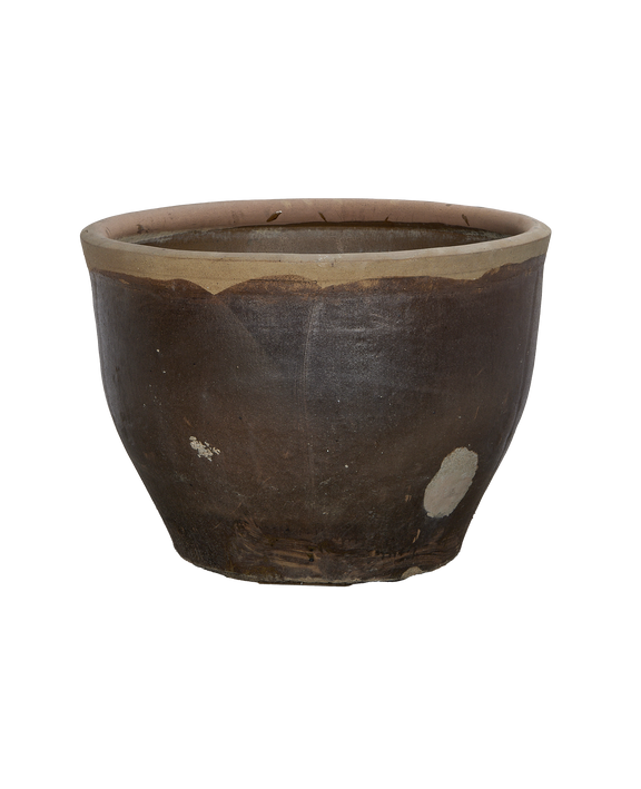 Mulberry Planter