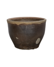 Mulberry Planter