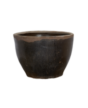 Mulberry Planter