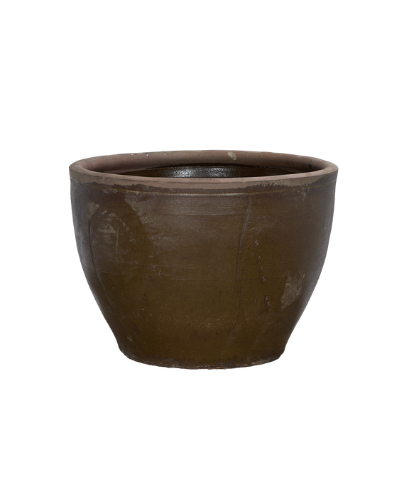 Mulberry Planter