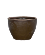 Mulberry Planter