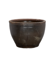 Mulberry Planter