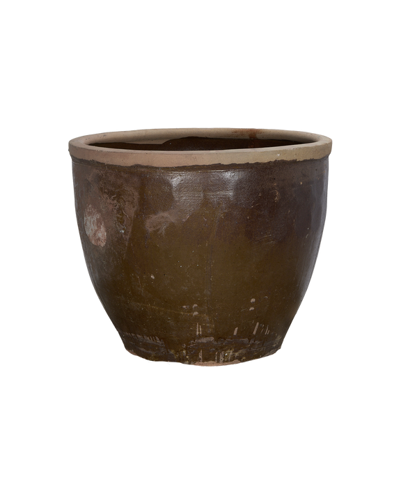 Mulberry Planter