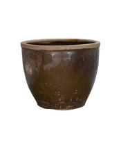 Mulberry Planter