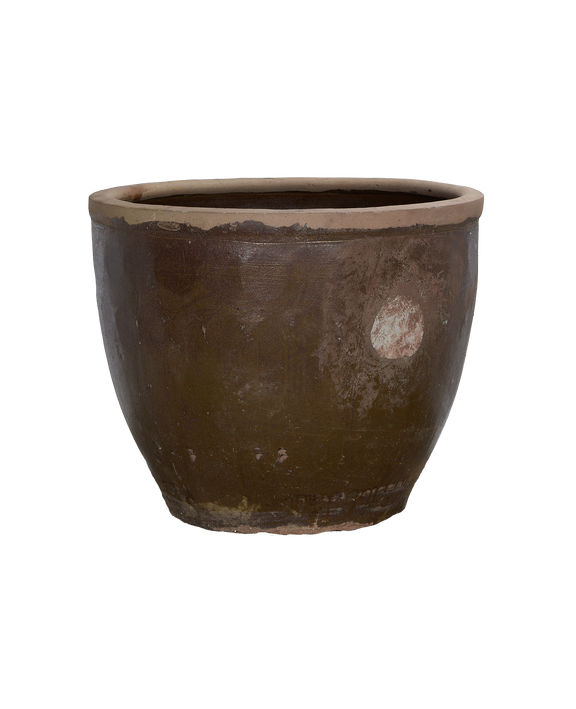 Mulberry Planter