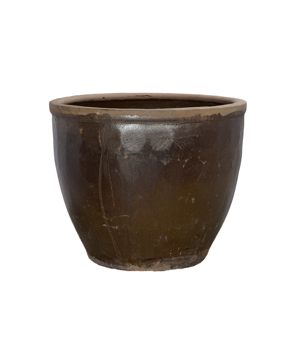 Mulberry Planter