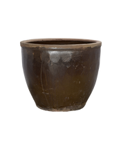 Mulberry Planter