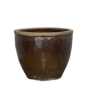 Mulberry Planter