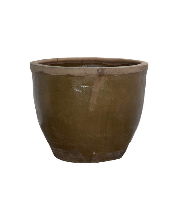 Mulberry Planter