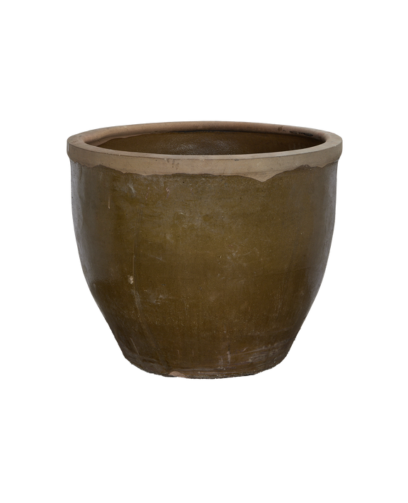 Mulberry Planter