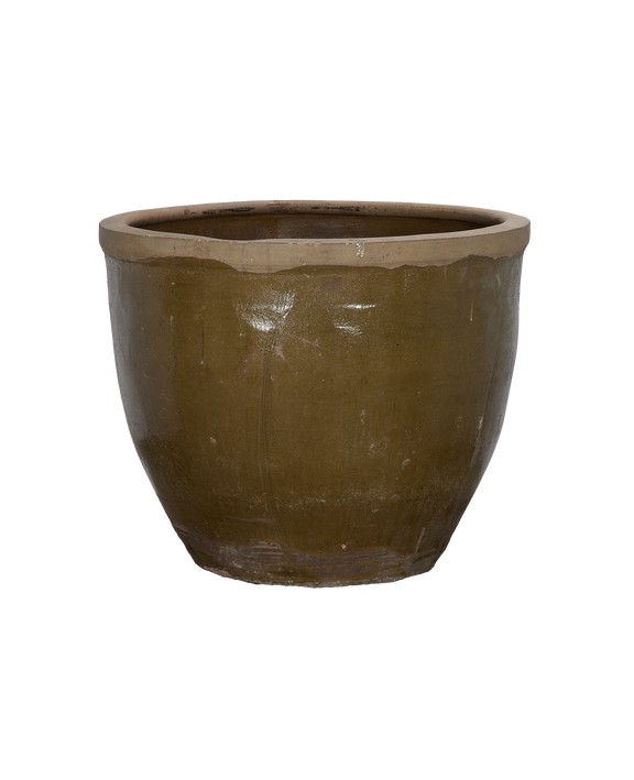 Mulberry Planter