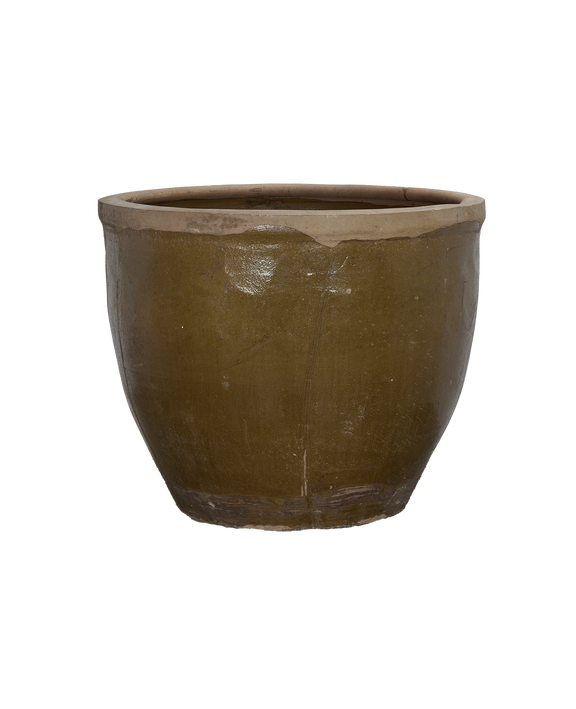 Mulberry Planter