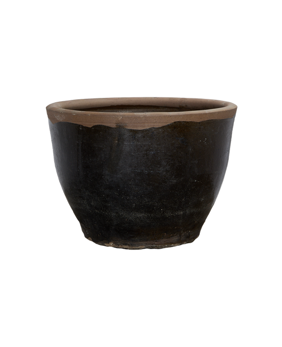 Mulberry Planter