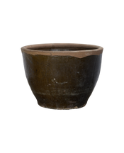 Mulberry Planter