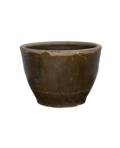 Mulberry Planter