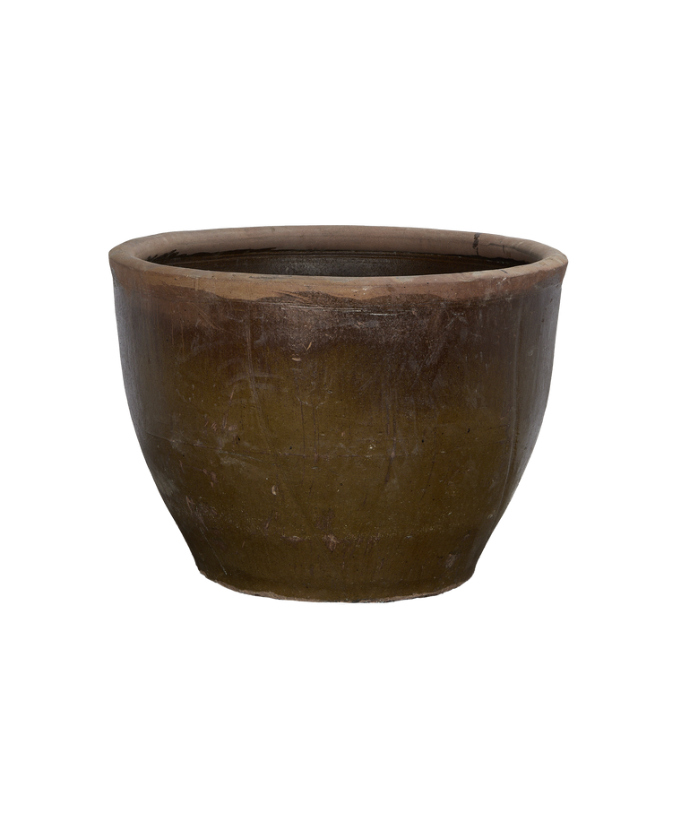 Mulberry Planter