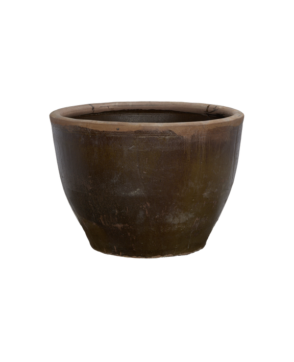 Mulberry Planter