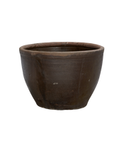 Mulberry Planter