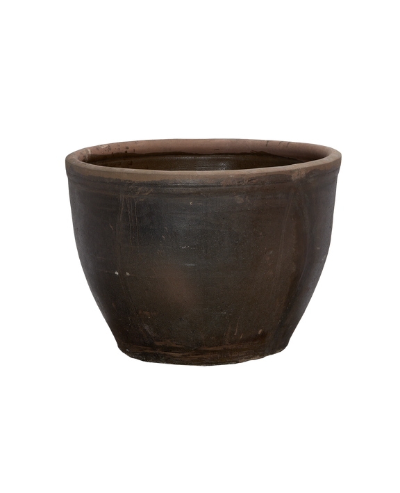 Mulberry Planter