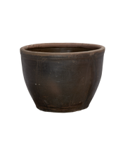 Mulberry Planter