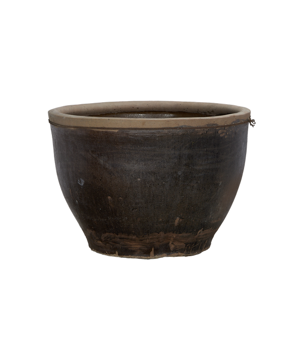 Mulberry Planter
