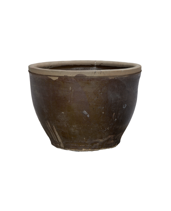 Mulberry Planter