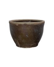 Mulberry Planter