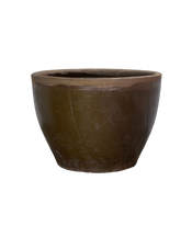 Mulberry Planter