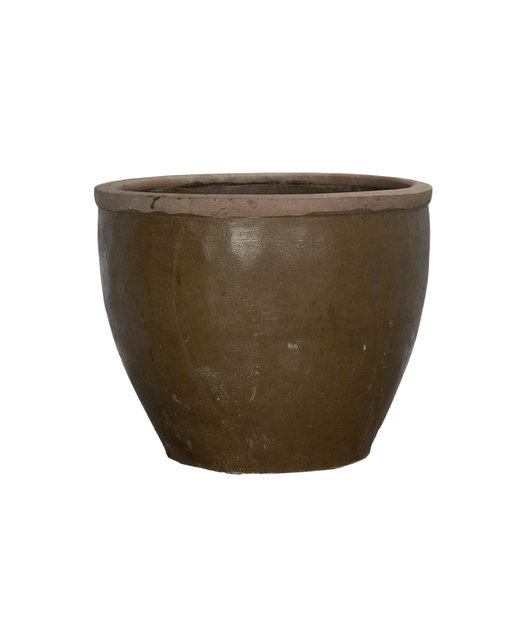 Mulberry Planter