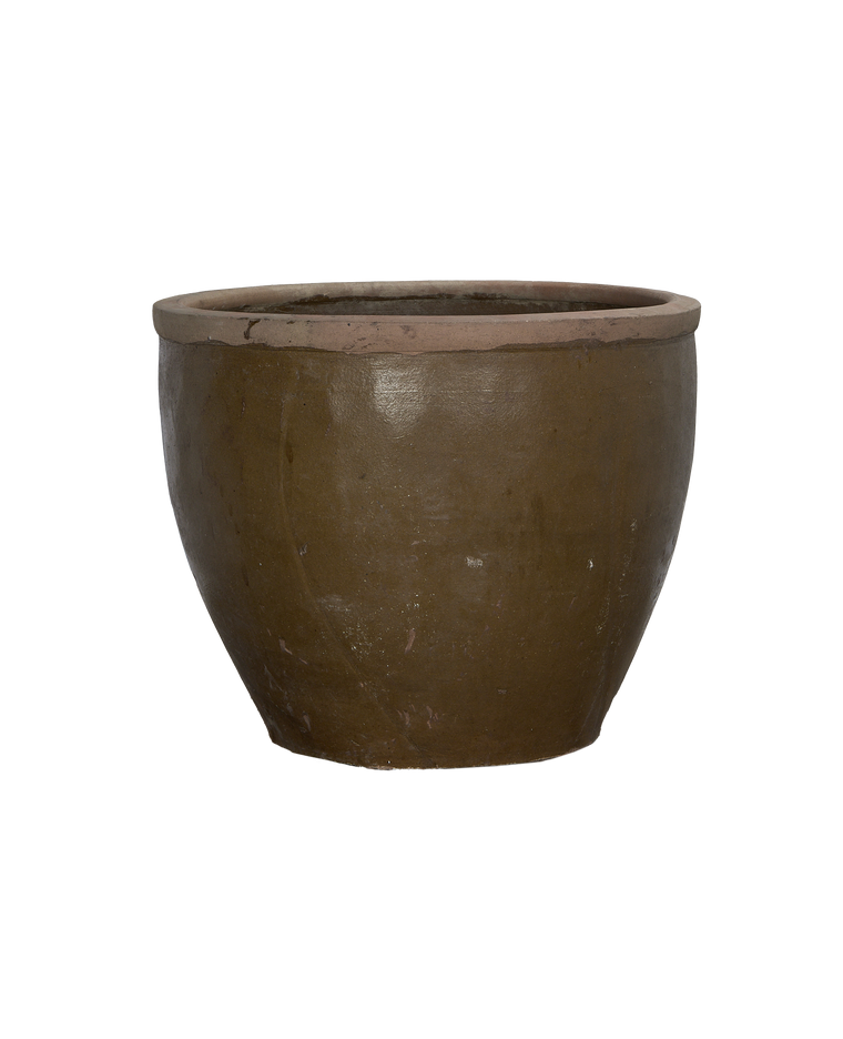 Mulberry Planter