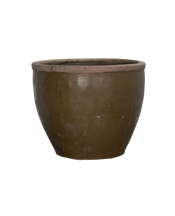 Mulberry Planter
