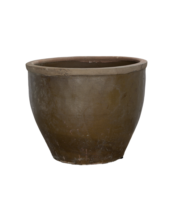 Mulberry Planter