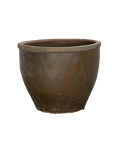 Mulberry Planter