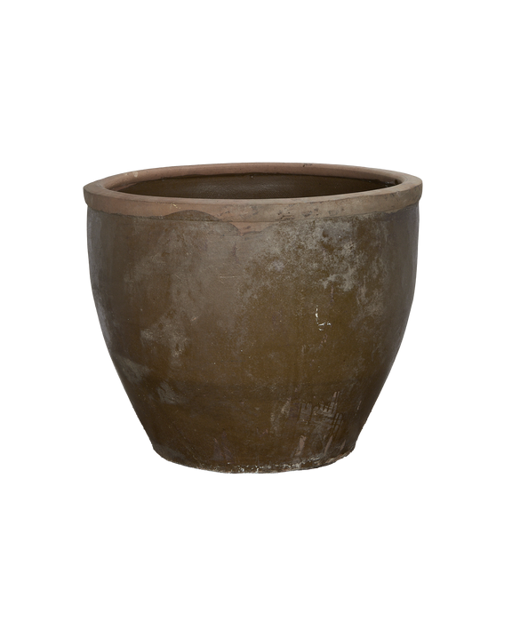 Mulberry Planter